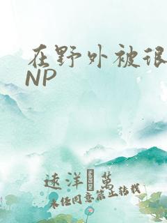 在野外被很多人NP