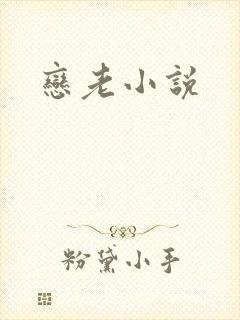 恋老小说