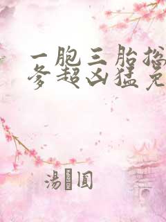 一胞三胎总裁爹爹超凶猛免费阅读