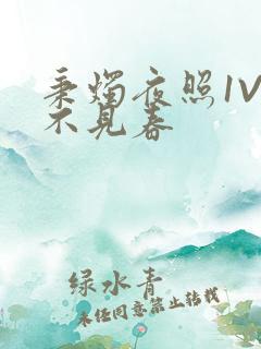 秉烛夜照1V2不见春