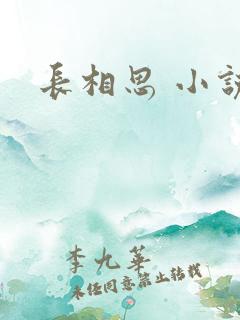 长相思 小说