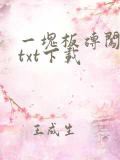 一块板砖闯仙界txt下载