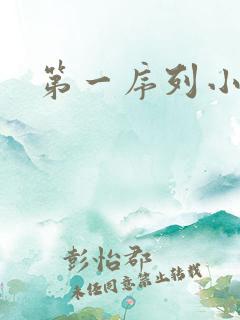 第一序列小说