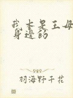 我本是王母娘娘身边的