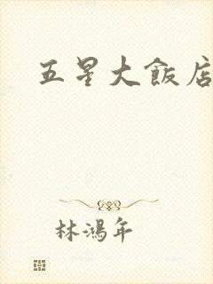 五星大饭店小说