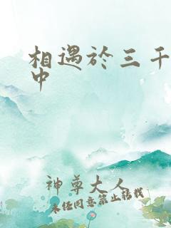 相遇于三千肉文中