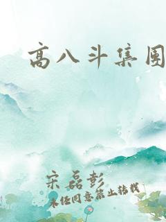 高八斗集团