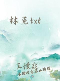 林克txt