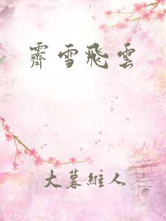 霁雪飞云