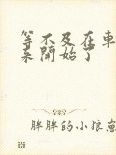 等不及在车里就来开始了