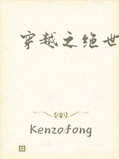 穿越之绝世皇后