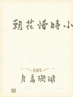 朝花惜时小说