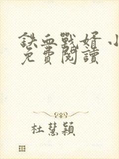 铁血战婿 小说免费阅读