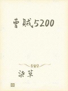 曹贼5200