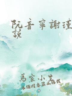 阮音宁谢瑾之小说