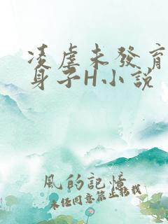 凌虐未发育的小身子H小说