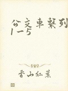 公交车系列合集1一5