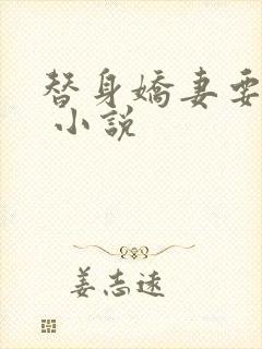 替身娇妻要离婚 小说