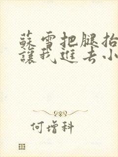 苏雪把腿抬起来让我进去小说