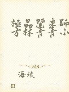 极品开光师李南方林青青小说免费阅读