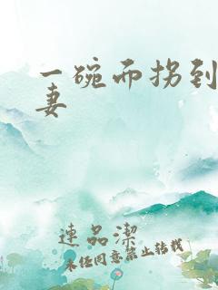 一碗面拐到美艳妻