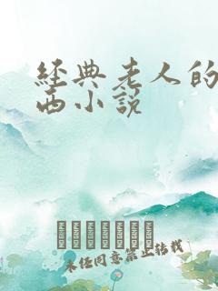 经典老人的大东西小说