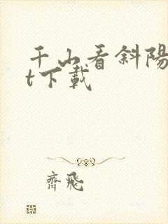 千山看斜阳txt下载