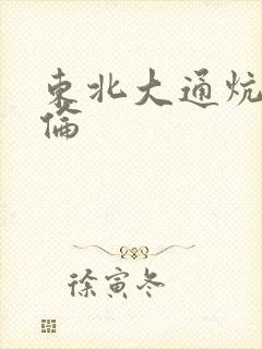 东北大通炕乱3伦