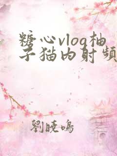 糖心vlog柚子猫内射频