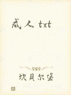 成人 txt