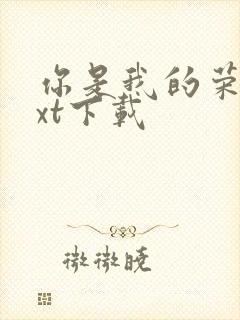 你是我的荣耀txt下载