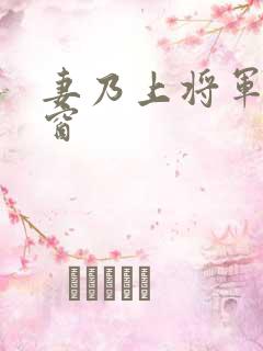 妻乃上将军无弹窗