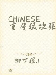 CHINESE重庆猛攻张先生