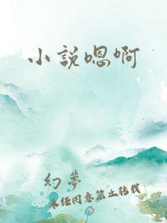 小说嗯啊