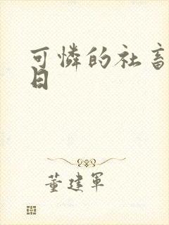 可怜的社畜东度日