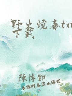 野火烧春txt下载