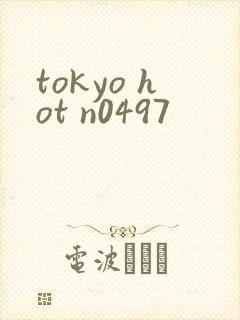 tokyo hot n0497
