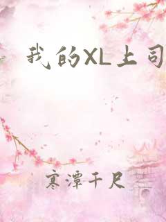 我的XL上司