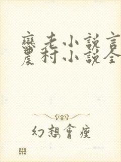 恋老小说言情网农村小说全文阅读