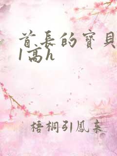 首长的宝贝1v1高h