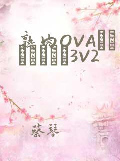 熟肉OVAちゃんはしたい3V2
