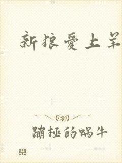 新狼爱上羊
