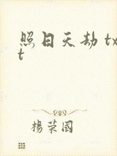 照日天劫 txt