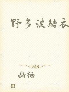 野多波结衣