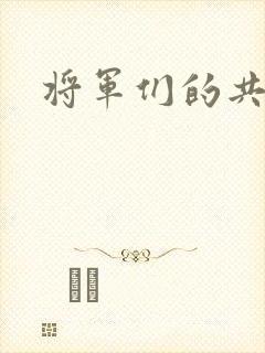 将军们的共妻H