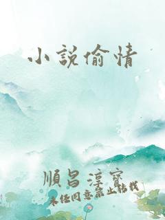 小说偷情