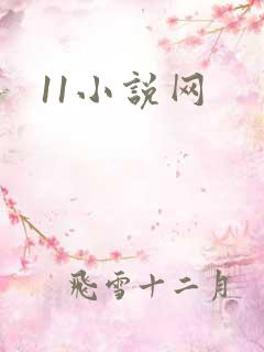 11小说网