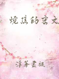 烧焦的密文