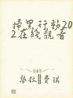 扫黑行动2022在线观看