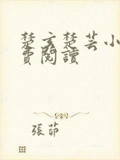 楚玄楚芸小说免费阅读